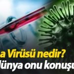 Corona virüsü nedir? Corona hastalığı belirtileri nelerdir, öldürür mü? Çin virüsü nasıl yayılıyor? Tüm dünya alarmda Gizemli virüs dünyanın en tehlikeli virüsü
