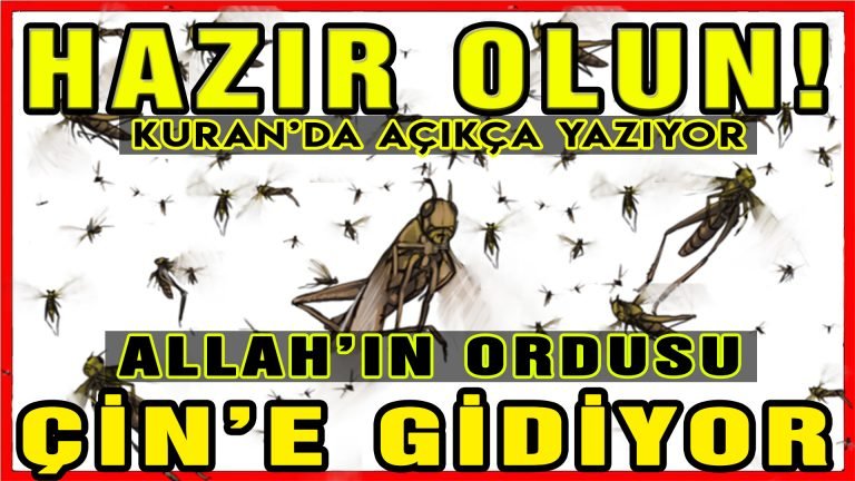 Tarih e baktığımızda ise bir kavim çekirge sürüsü istilasını yıllar önce yaşamıştı.. Şimdi sıra Çin de mi? Peki neler olması bekleniyor? Çekirge sürüsü Kuran'da