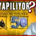 Çekirge sürüsü sonrası karınca istilası başladı! 5G Teknolojisi 2020 yılında faaliyete geçtiğini biliyor muydunuz? Yaşananlar kıyamet alameti mi? Karıncalar