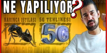 Çekirge sürüsü sonrası karınca istilası başladı! 5G Teknolojisi 2020 yılında faaliyete geçtiğini biliyor muydunuz? Yaşananlar kıyamet alameti mi? Karıncalar