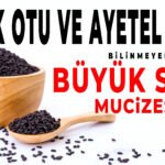 Çörek Otu ve 41 Ayetel Kursi BİLİNMEYEN BÜYÜK SIRRI MUCİZESİ