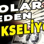 DOLAR NEDEN YÜKSELİYOR NASIL DÜŞER ? PARANIN DEĞERİ NASIL BELİRLENİR