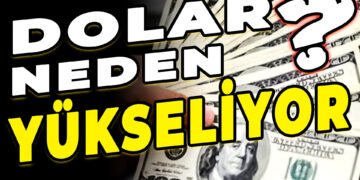 DOLAR NEDEN YÜKSELİYOR NASIL DÜŞER ? PARANIN DEĞERİ NASIL BELİRLENİR